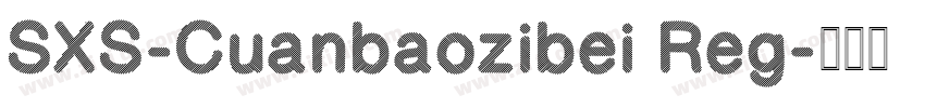 SXS-Cuanbaozibei Reg字体转换